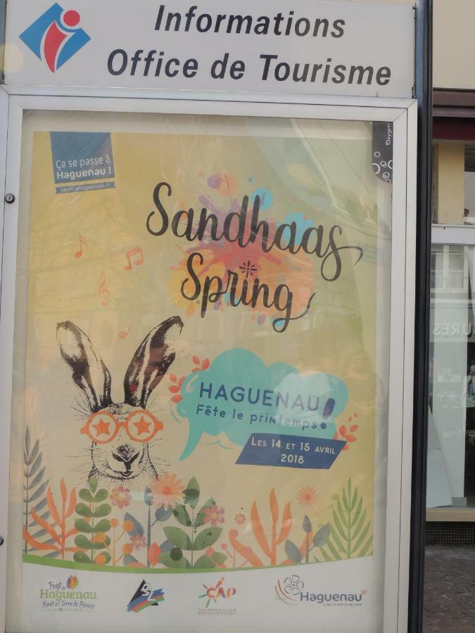 Appart'Azur Haguenau - Centre Grand'Rue - Logements Entiers Pour Voyageur Pro Exteriör bild
